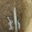 선산농협주유소 이미지