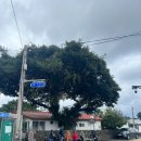 고내리경로당 이미지