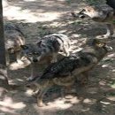 운남로3 이미지