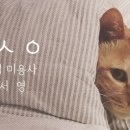 고양이미용사 임서영 이미지