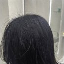 세종미용실 이미지