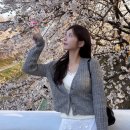 소양댐시민숲공원 | 2026 양재시민의 숲, 양재천 벚꽃놀이 주차장 추천, 포토스팟 공유