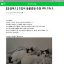 정성환동물병원 | 청주 고양이진료ㆍ수술잘하는동물병원-행복한동물병원/정성환동물병원❤소개추천 방문후기 공유