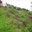 가평 오거리 이미지