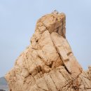 걷고 싶은 중구둘레길(제2코스) | [인천 영종도] 선녀바위~을왕리 해변 둘레길 산책과 출렁다리 도보 코스 후기