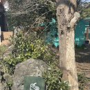 표선면 송천교 옆 | 제주 인스타 핫플 직접 방문기 | 아늑하고 분위기 좋은 북카페_책계일주📚