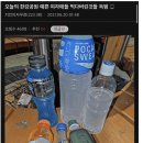 한강에서 여자들이 먹다 남긴 음식 수집하는 디시인 이미지