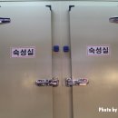 현대양념육
