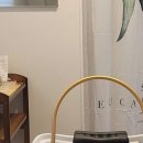 살롱 드 비숑 이미지