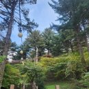 포천파크 | [내돈내산] 아이와 함께 포천 어메이징파크 다녀온 후기