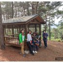 만경산 산림욕장 이미지