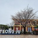 경주중앙도서관 화장실 이미지