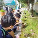 왕선초등학교 이미지