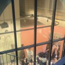 지민8 | 정샘물웨스트 지민실장 웨딩 촬영메이크업 후기