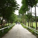 대화목장 이미지