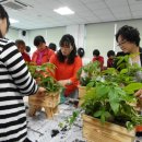 신안개발 이미지