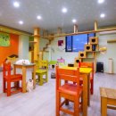 마오네애견카페 이미지