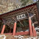 신 황룡 이미지