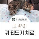 아이조은동물병원 이미지
