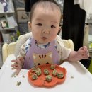 고양특례시 덕양구 보건소 영양플러스 조건 및 혜택 / 무료 식재료 제공 후기