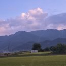 호식이두마리 화개장터점 | 2025년 10월 전라도 여행 (쌍계사, 화개장터)