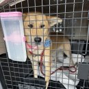 축복운송 이미지