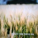 신동선통증의원 앞 (충청남도 논산시 대흥로 20) | 충청남도 아산시 예방접종 전문 병원 추천 좋아요 6곳