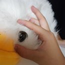 내 산소호흡기 그것은 바로 공휴일 이즈 명절