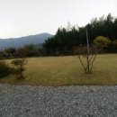 담양클로버 이미지