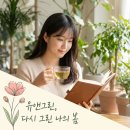세강당한의원 | 대전 도안동에서 자궁근종, 아랫배 찌르는 통증이 왜 심해질까? 비수술 자궁 보존 방법
