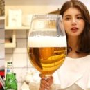 딱한잔 인사이트