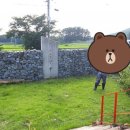 꽃잠 하우젠 이미지