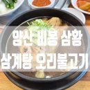 (주)청호산업 | [양산 삼계탕] 경남 맛집 비봉 상황 삼계탕 오리불고기 본점에서 즐기는 몸보신 삼계탕🥣