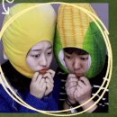 옥수풀빌라 | 임신 28주 강릉, 춘천 2박 3일 태교여행 후기