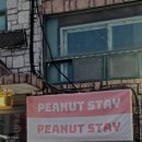 피넛스테이 이미지