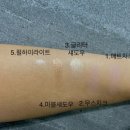 플라워 팔레트 | 내돈내산 밀퓌 Millefee 무하 레이디 플라워 Lily 팔레트 후기