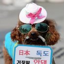 나도 - 영광군 천년로 4-1 | 나도