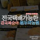 농원원두막 | 감곡복숭아 원두막농원 솔직히 당도가 미쳤어요!!