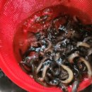 안동추어탕 이미지