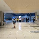 11500-5-55-05 | 오사카 항공권 피치항공 후기 터미널 이용 팁 포함