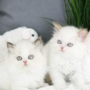 테마3빌딩 이미지