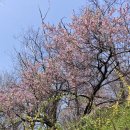 탕춘대 화장실 이미지