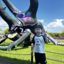 여주하늘정원 | 강서NC 여주 곤충 박물관 팝업스토어 솔직 후기