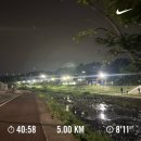 도도충무김밥 | 봉덕칼국수 의왕본점 내돈내산 후기, 왕송연꽃습지 8월 중순 상황 등의 일상