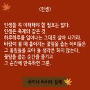 라이너 마리아 릴케의 인생 이미지