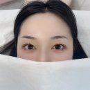 래쉬더로즈 이미지