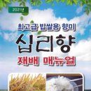 십리향 - 중구 차이나타운로 50-2 | 십리향