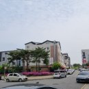 호매실벚꽃음식문화거리 이미지