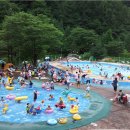 천동물놀이장 이미지