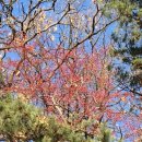 렛츠고강화캠핑 이미지